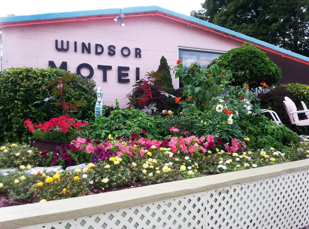 Windsor 2*